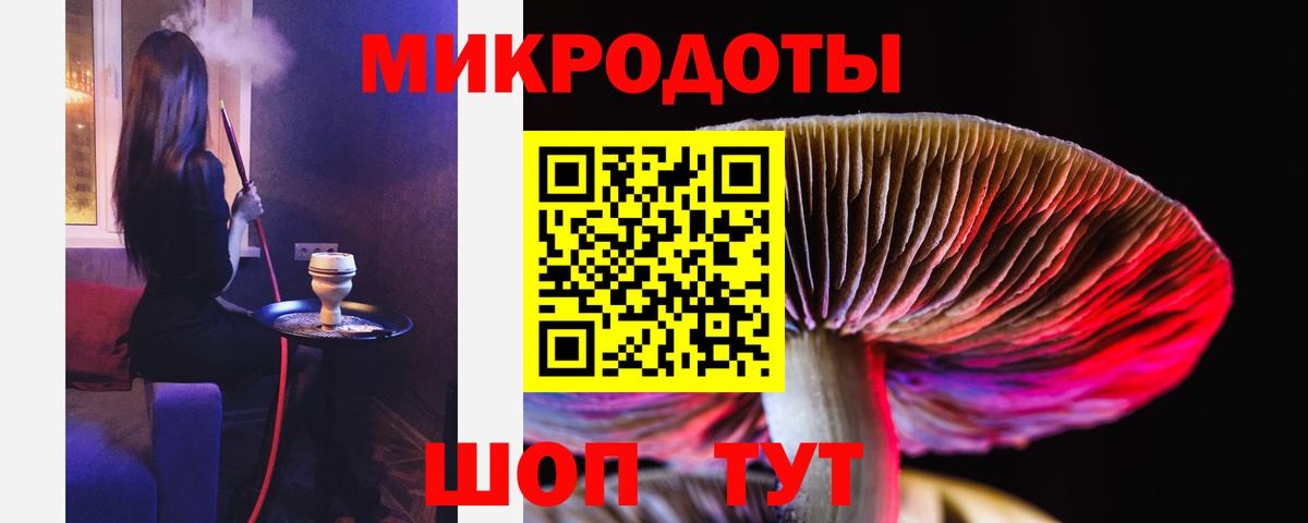 Псилоцибиновые грибы прущие грибы Воронеж